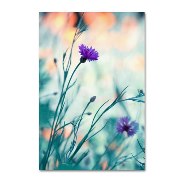 Fabien Bravin 'Colors Game 2' Canvas Art