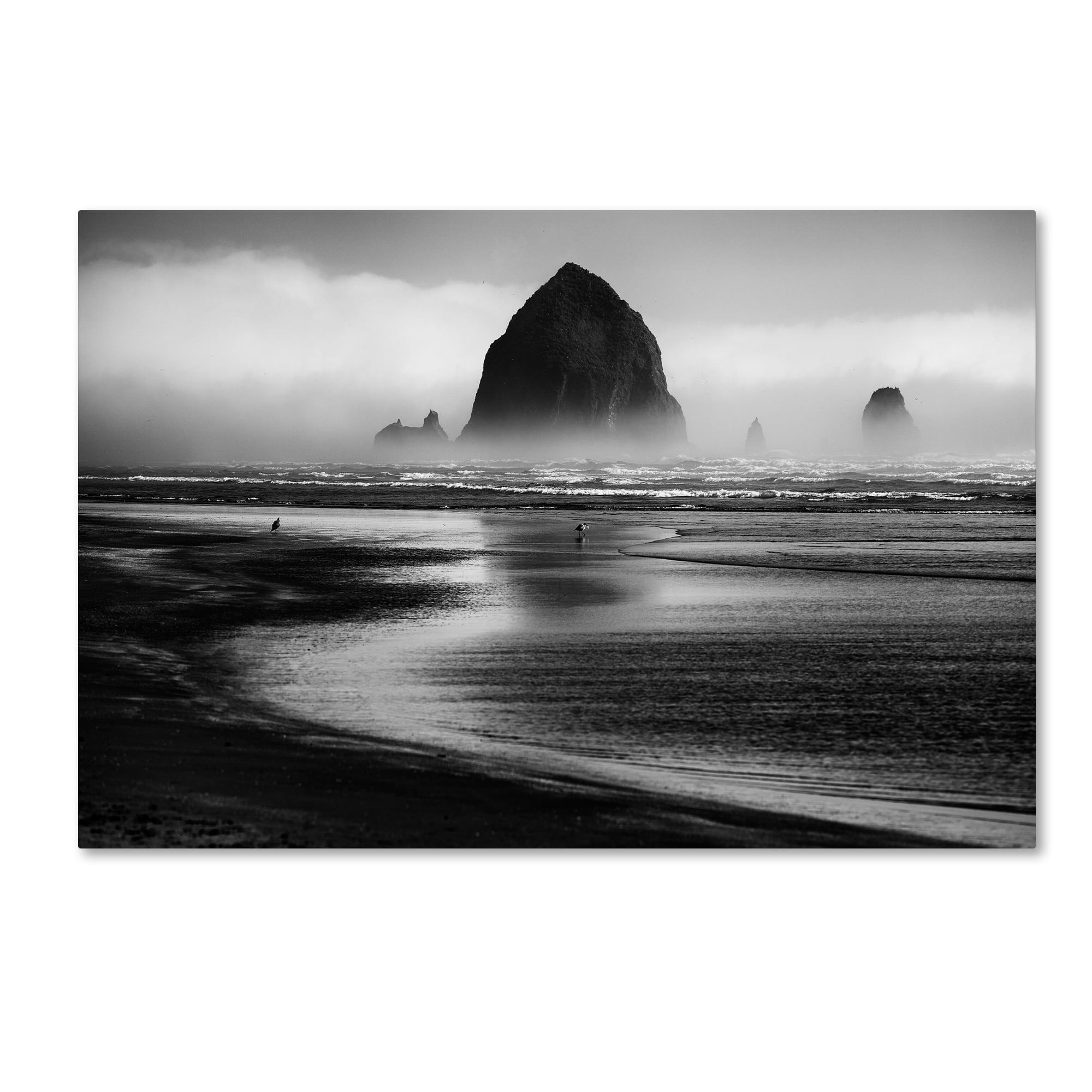Cannon Beach Black and White Canvas Art with Floater Frame