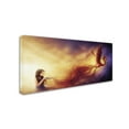 thumbnail image 1 of JoJoesArt 'Out of the Ashes' Canvas Art, 1 of 3