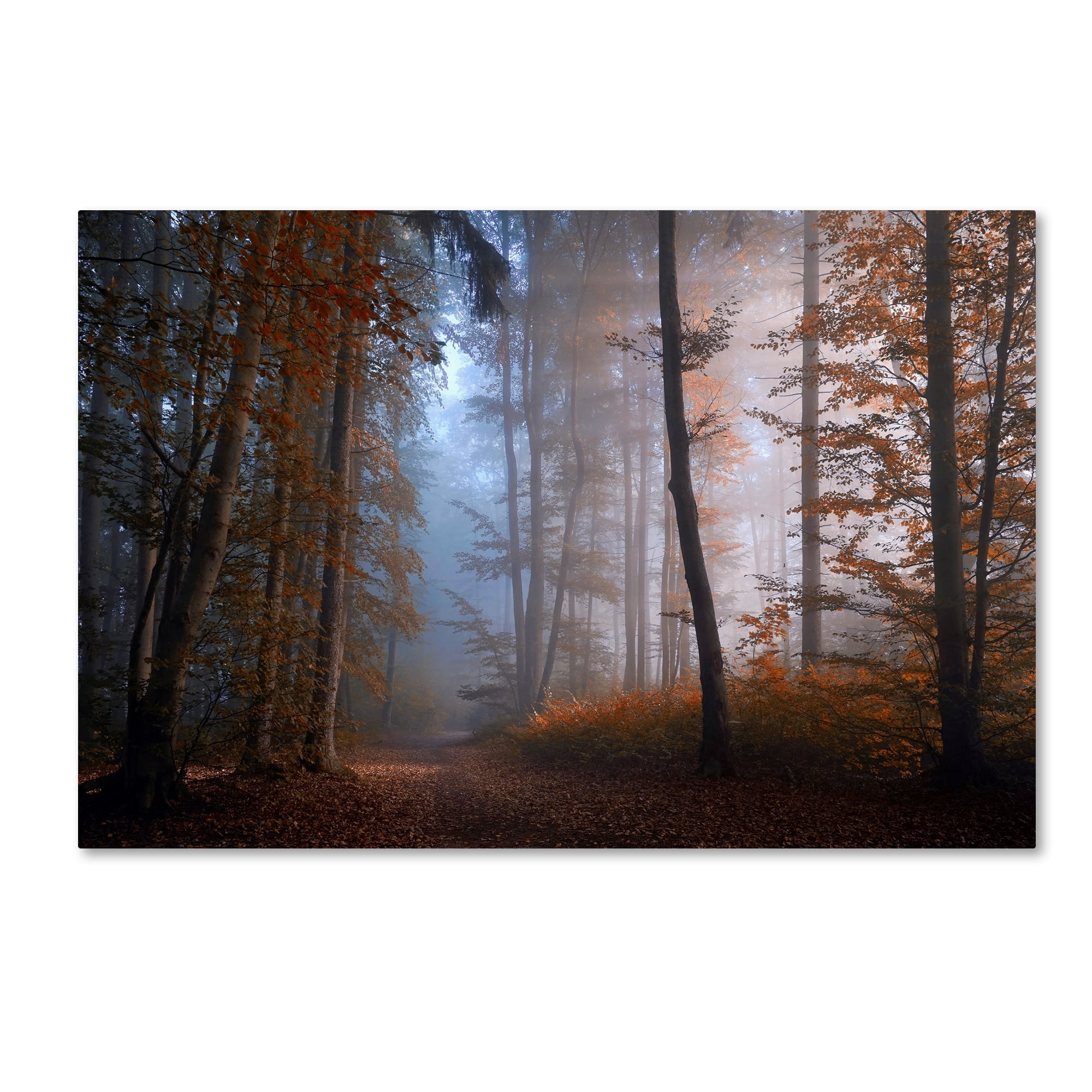 Norbert Maier 'Autumn Colors' Canvas Art