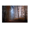 thumbnail image 1 of Norbert Maier 'Autumn Colors' Canvas Art, 1 of 3