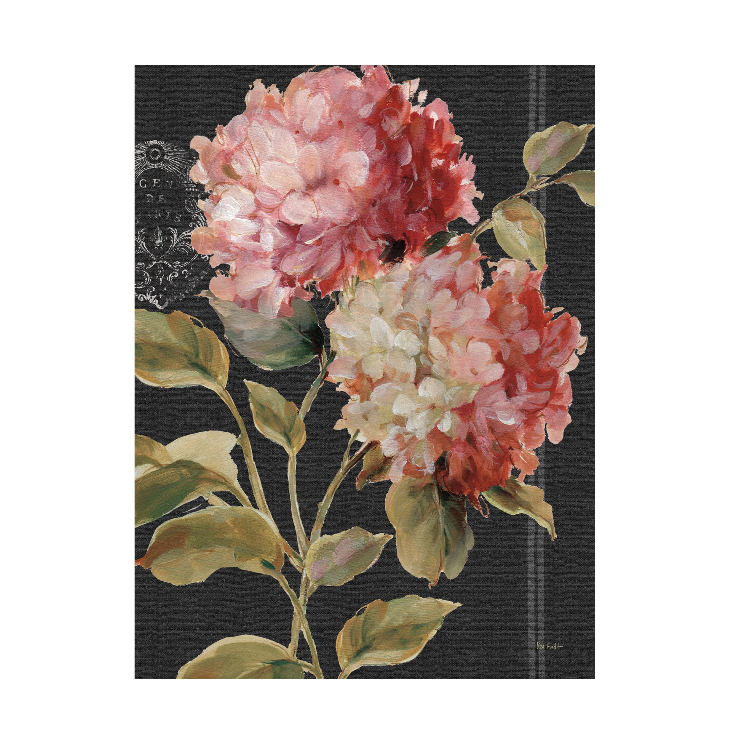 Lisa Audit 'Harmonious Hydrangeas' Canvas Art