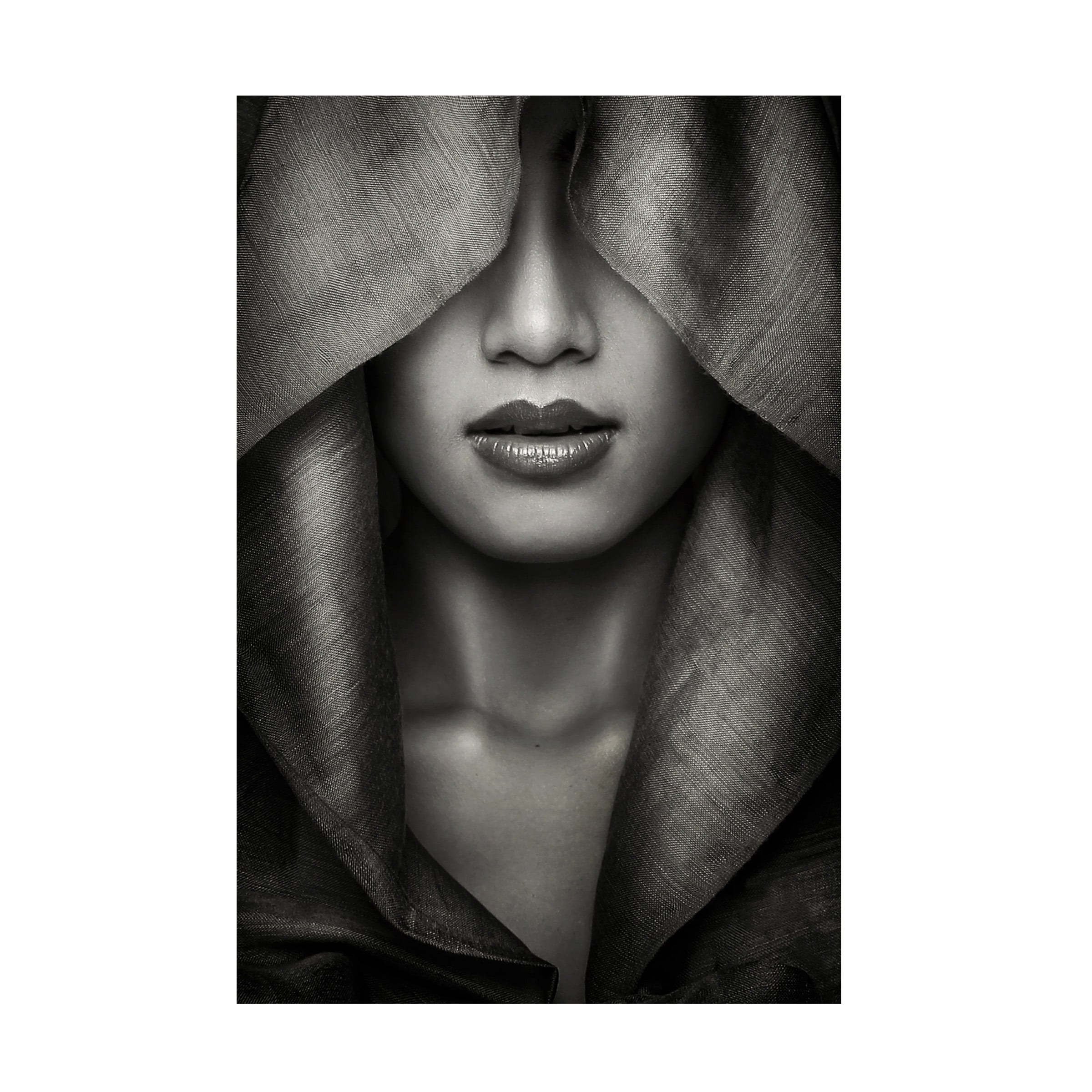 Azalaka 'Hood' Canvas Art