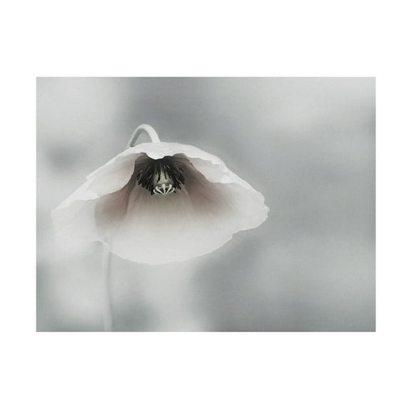 Piet Flour 'Ephemeral Beauty' Canvas Art