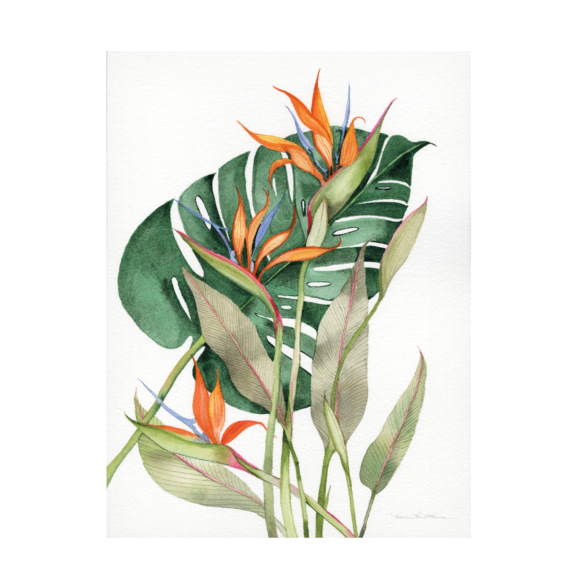 Kathleen Parr McKenna 'Botanical Birds of Paradise' Canvas Art