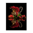 thumbnail image 1 of Aida Ianeva 'Red Fruits' Canvas Art, 1 of 4