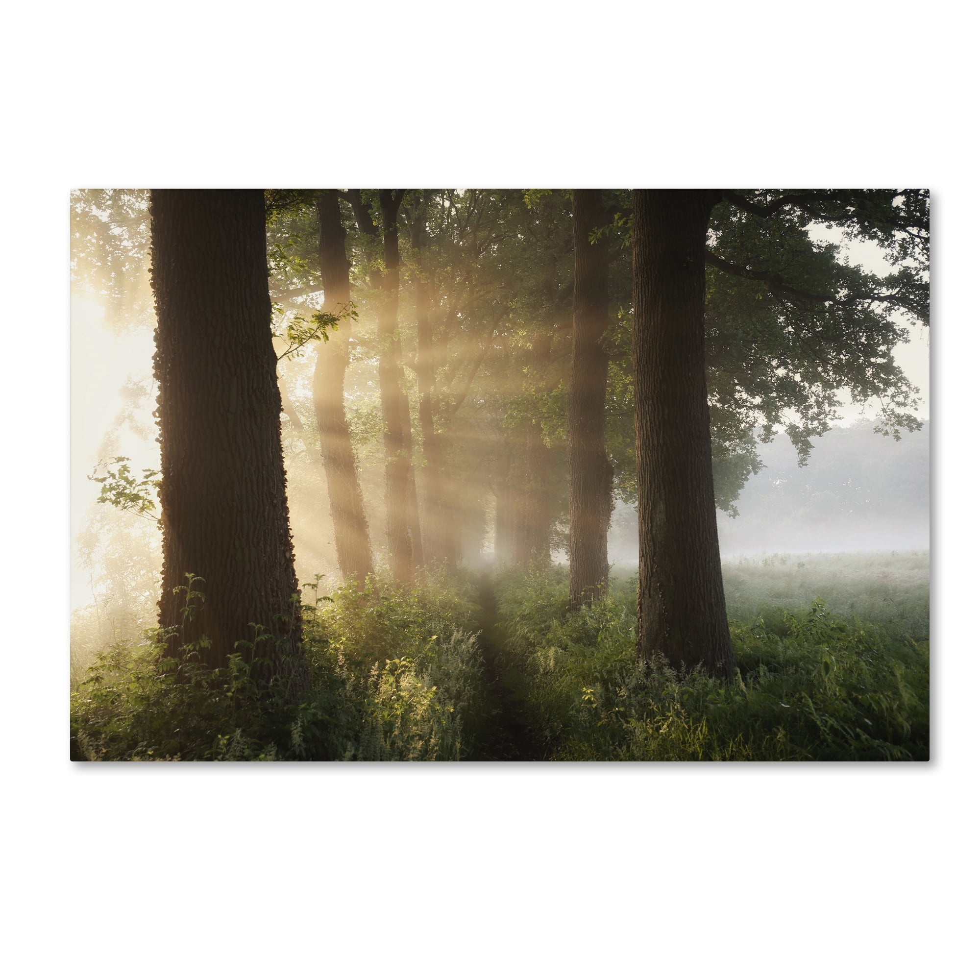 Vincent Croce 'First Day Of Summer' Canvas Art