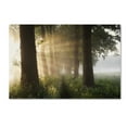 thumbnail image 1 of Vincent Croce 'First Day Of Summer' Canvas Art, 1 of 3