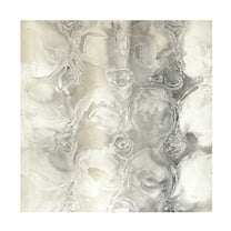 Chris Paschke 'Gray Circles Ii' Canvas Art