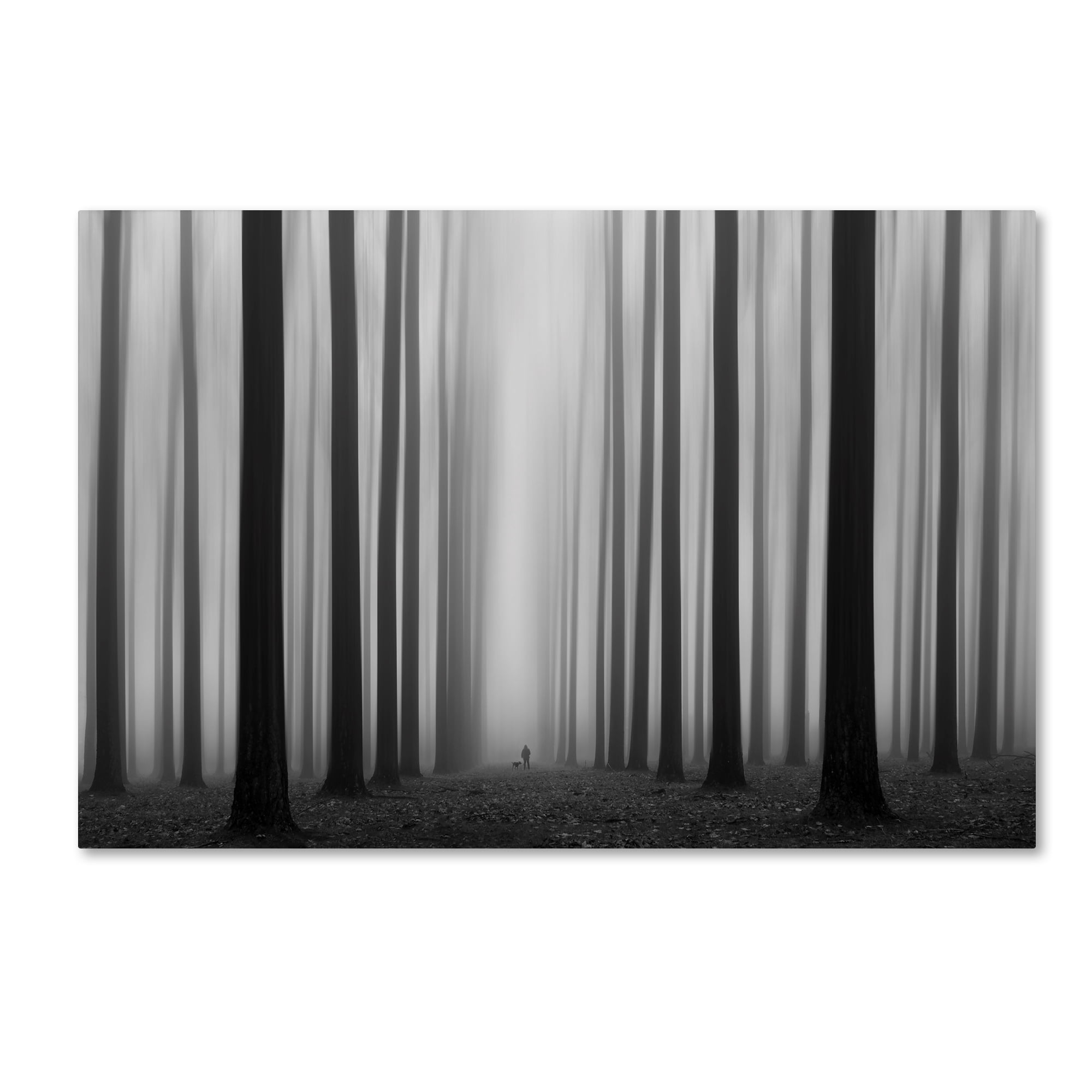 Jochen Bongaerts 'Labyrinth' Canvas Art