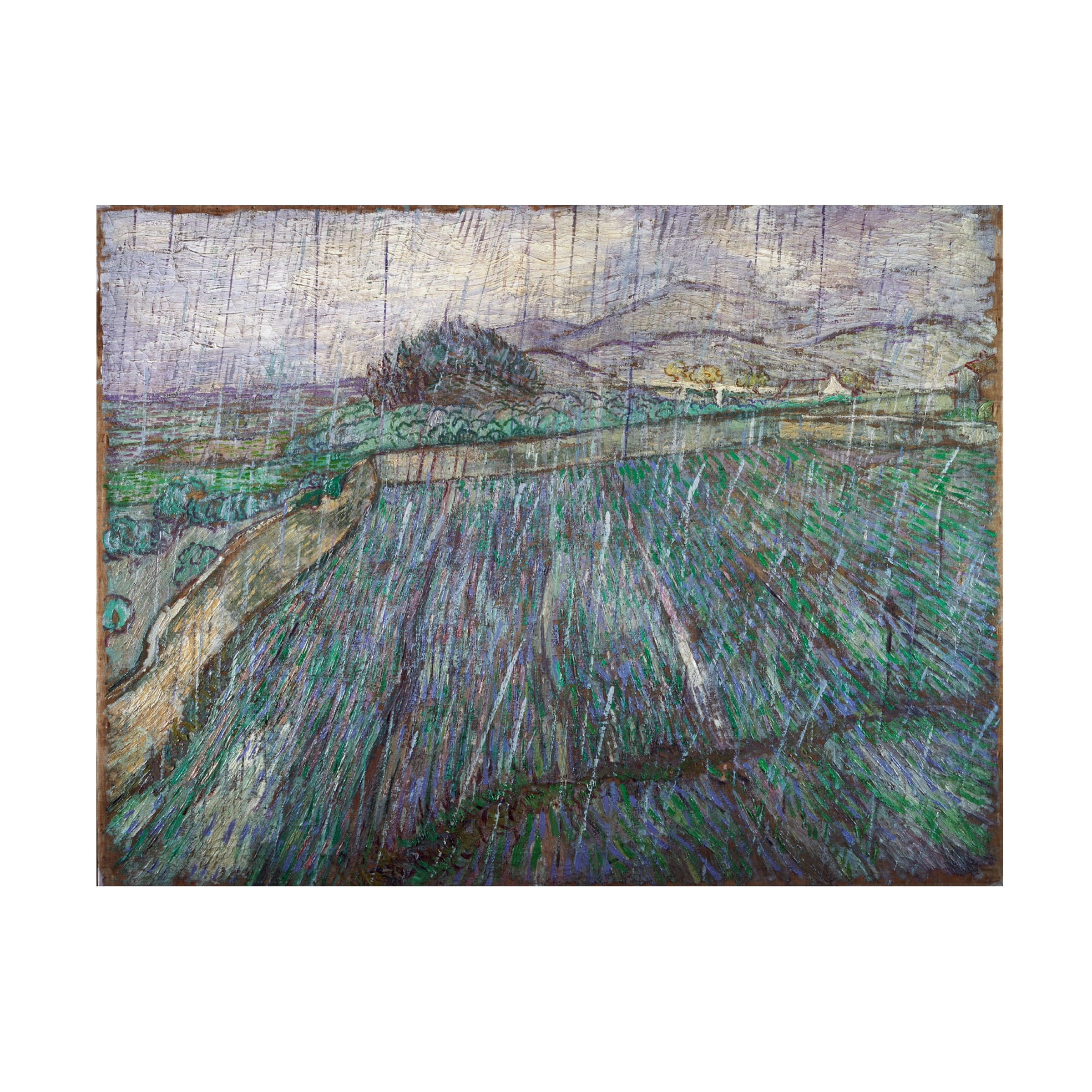 Van Gogh 'Rain' Canvas Art