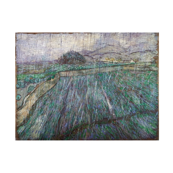 Van Gogh 'Rain' Canvas Art