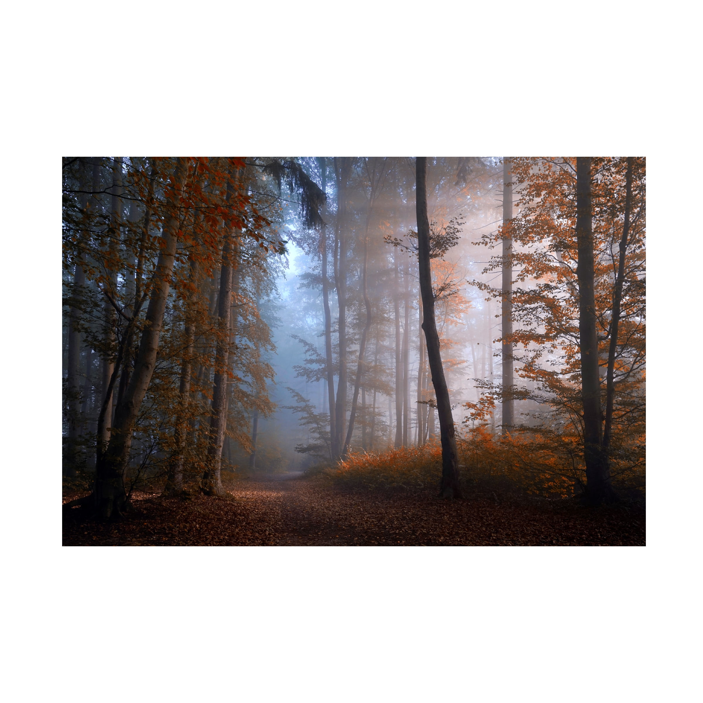 Norbert Maier 'Autumn Colors' Canvas Art