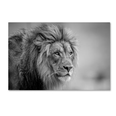Jeffrey C Sink 'His Majesty' Canvas Art