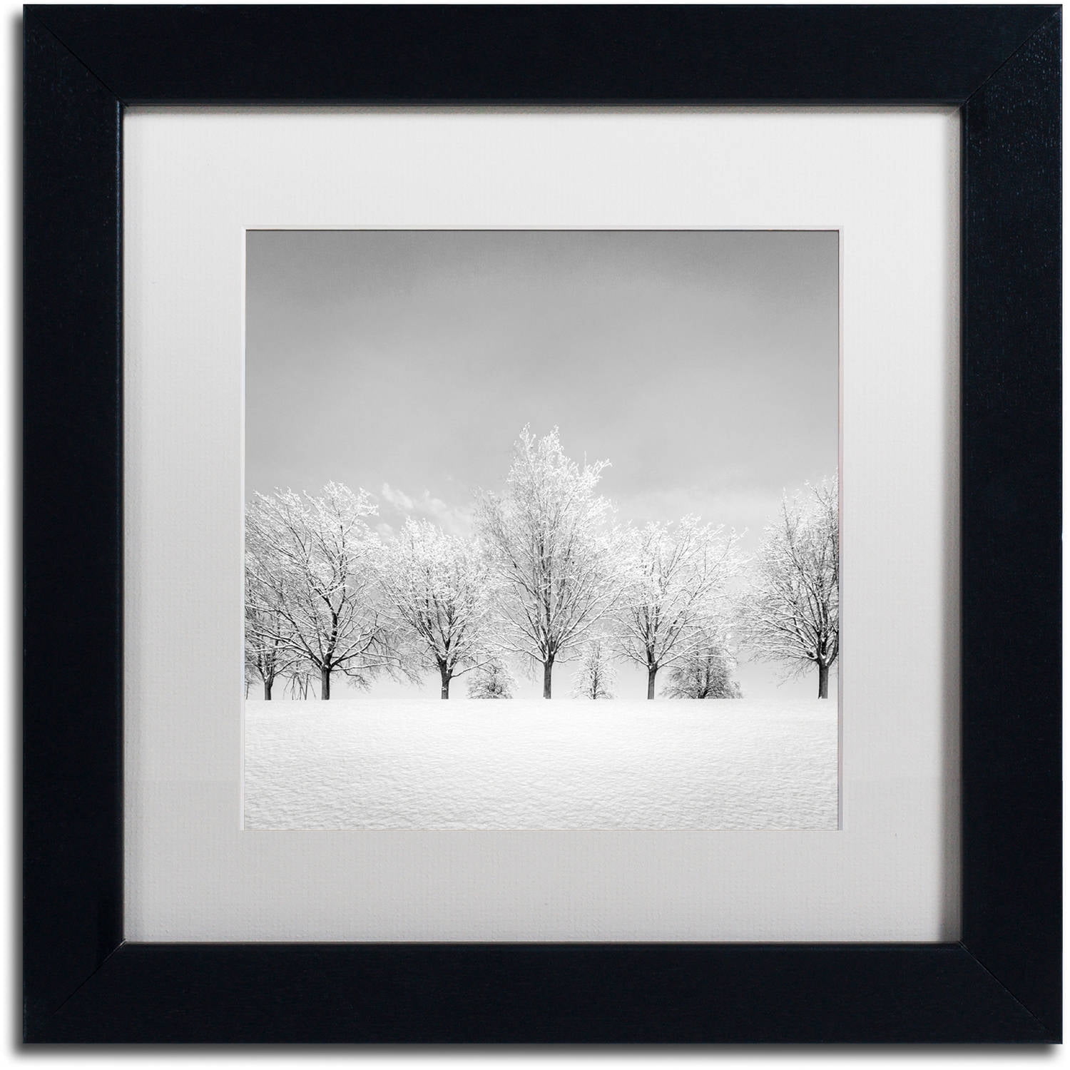 Dave MacVicar 'Ice Storm' Matted Framed Art