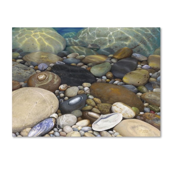 Stephen Stavast 'Shoreline Treasures' Canvas Art