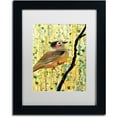 thumbnail image 1 of Sylvie Demers 'Monsieur' Matted Framed Art, 1 of 1