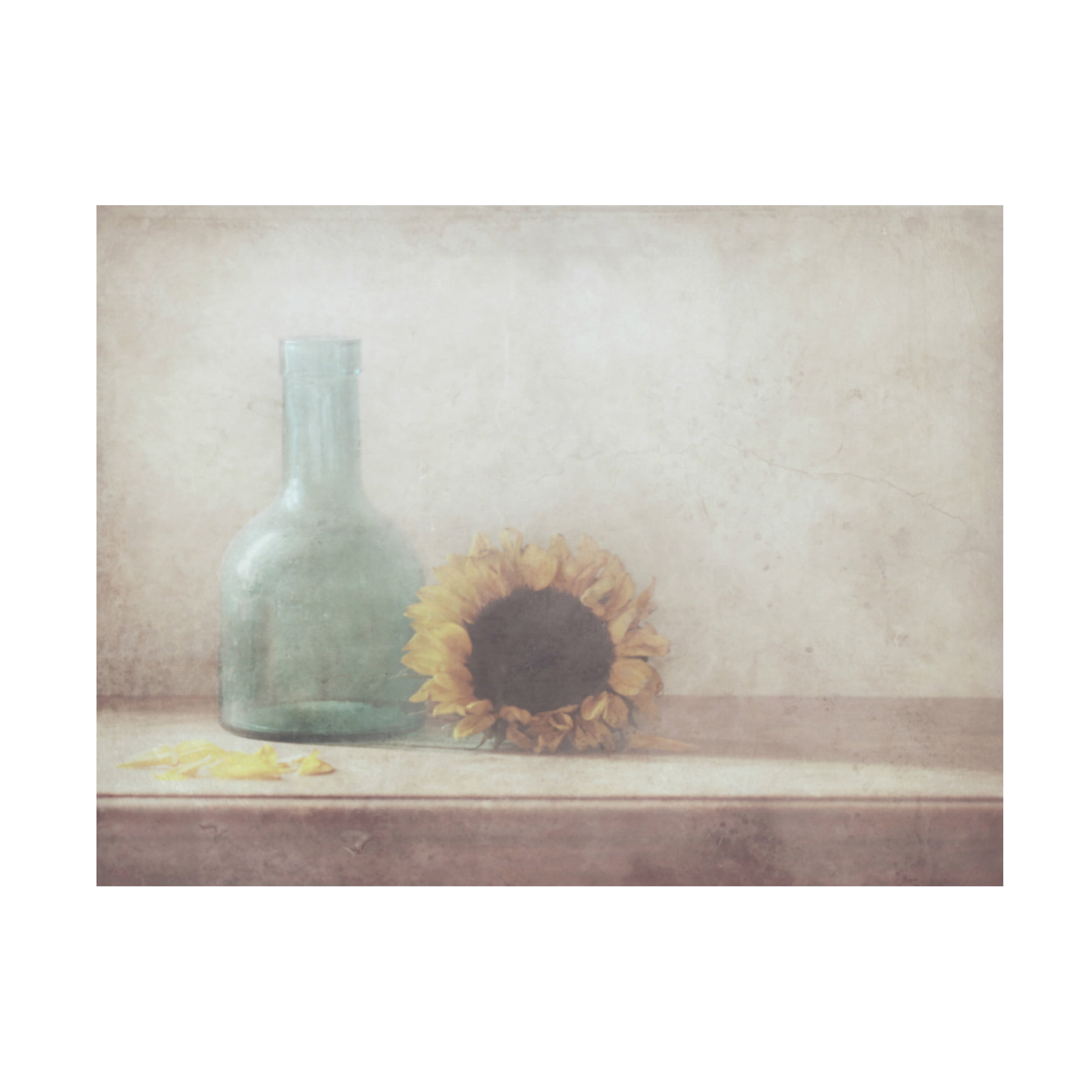 Delphine Devos 'Sunflower' Canvas Art
