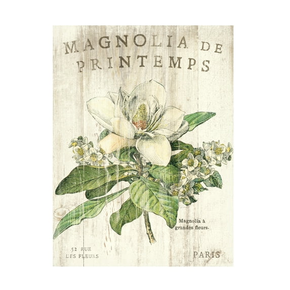 Trademark Fine Art Sue Schlabach Magnolia De Printemps Canvas Wall Art - 24x32