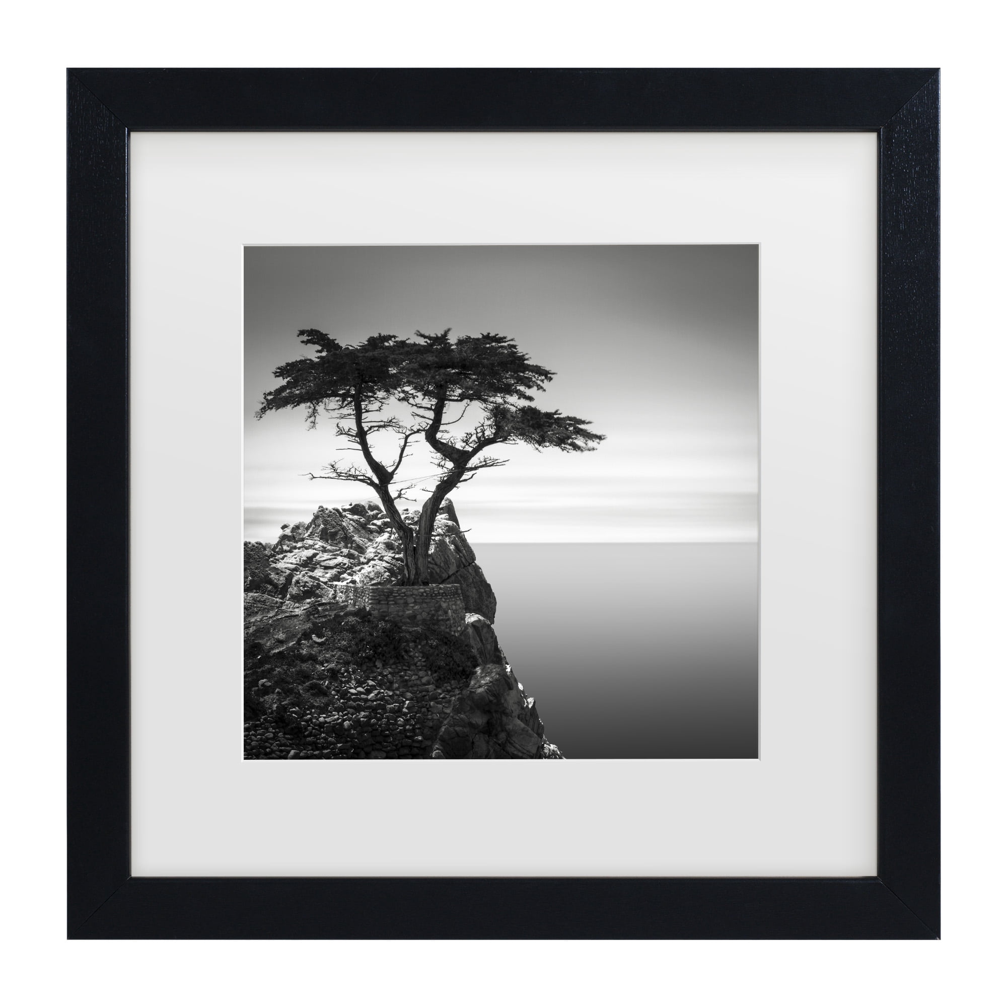 Dave MacVicar 'The Lone Cypress' Matted Framed Art