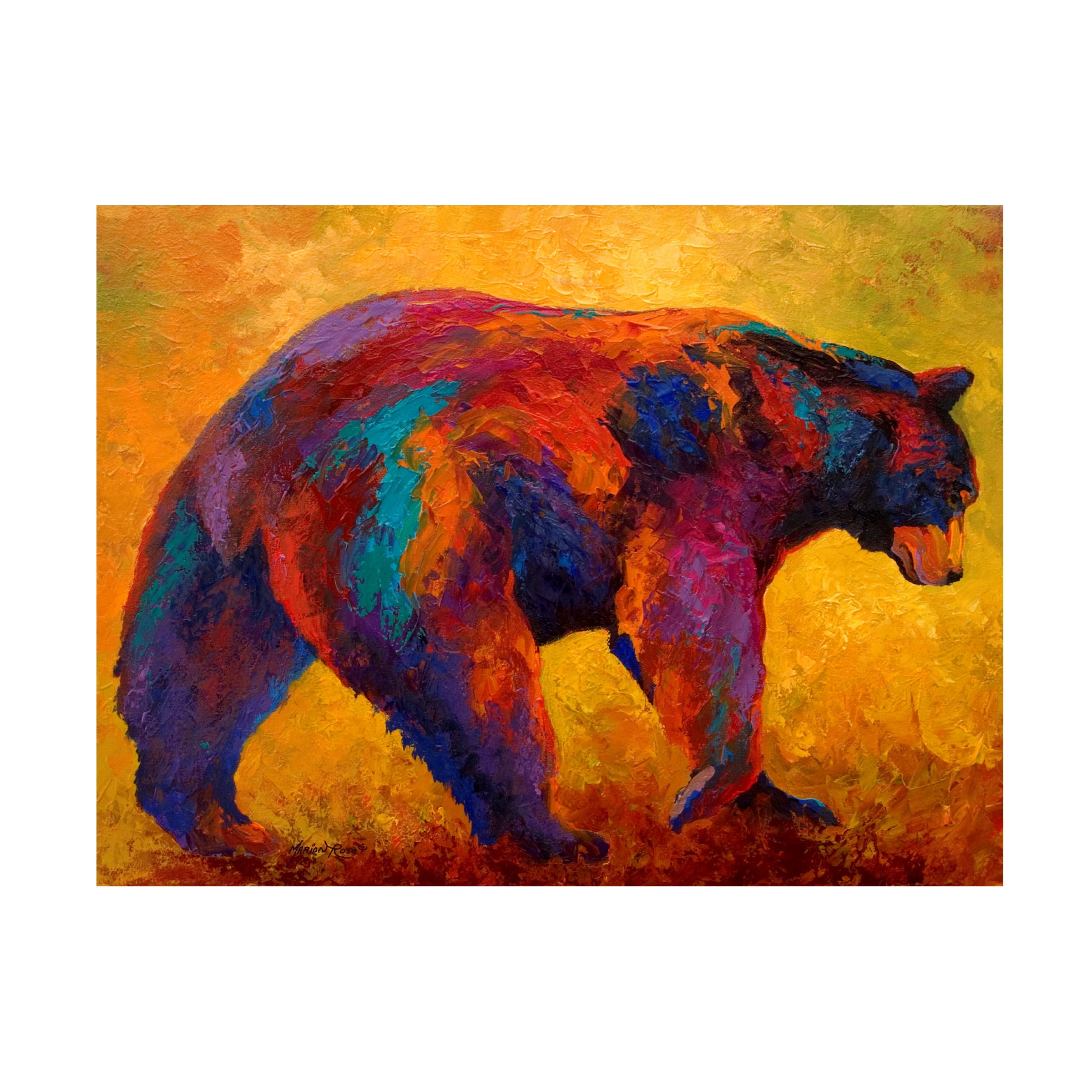 Marion Rose 'Daily Rounds Black Bear' Canvas Art
