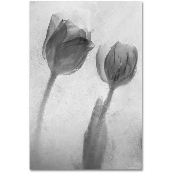 Moises Levy 'Flowers on Ice-1' Canvas Art