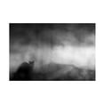 thumbnail image 1 of Tudor Amot 'Black Cat' Canvas Art, 1 of 4