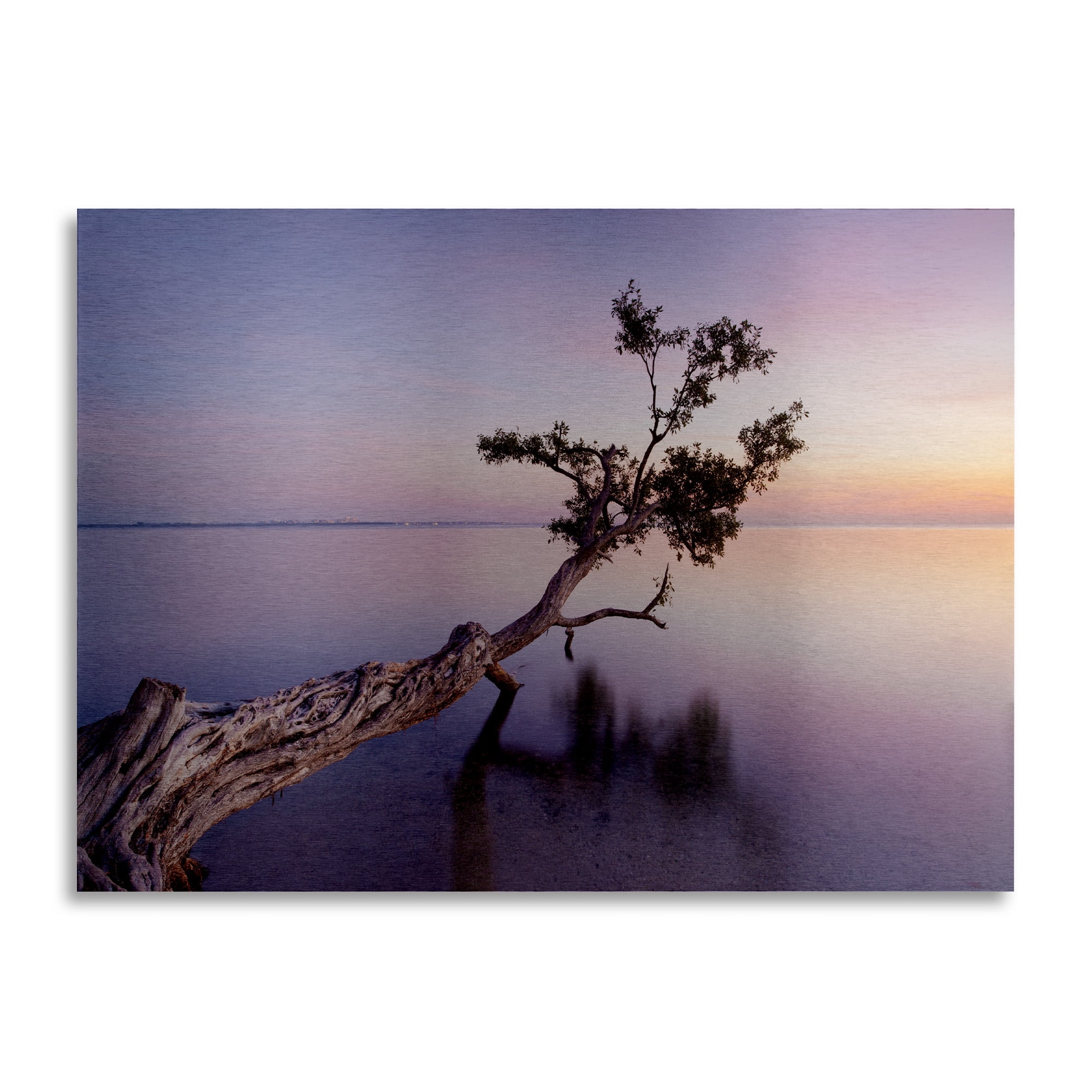 Moises Levy 'Water Tree Xv' Floating Brushed Aluminum Art