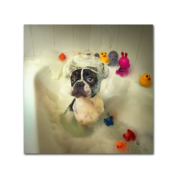 Ddiarte 'The Bath' Canvas Art