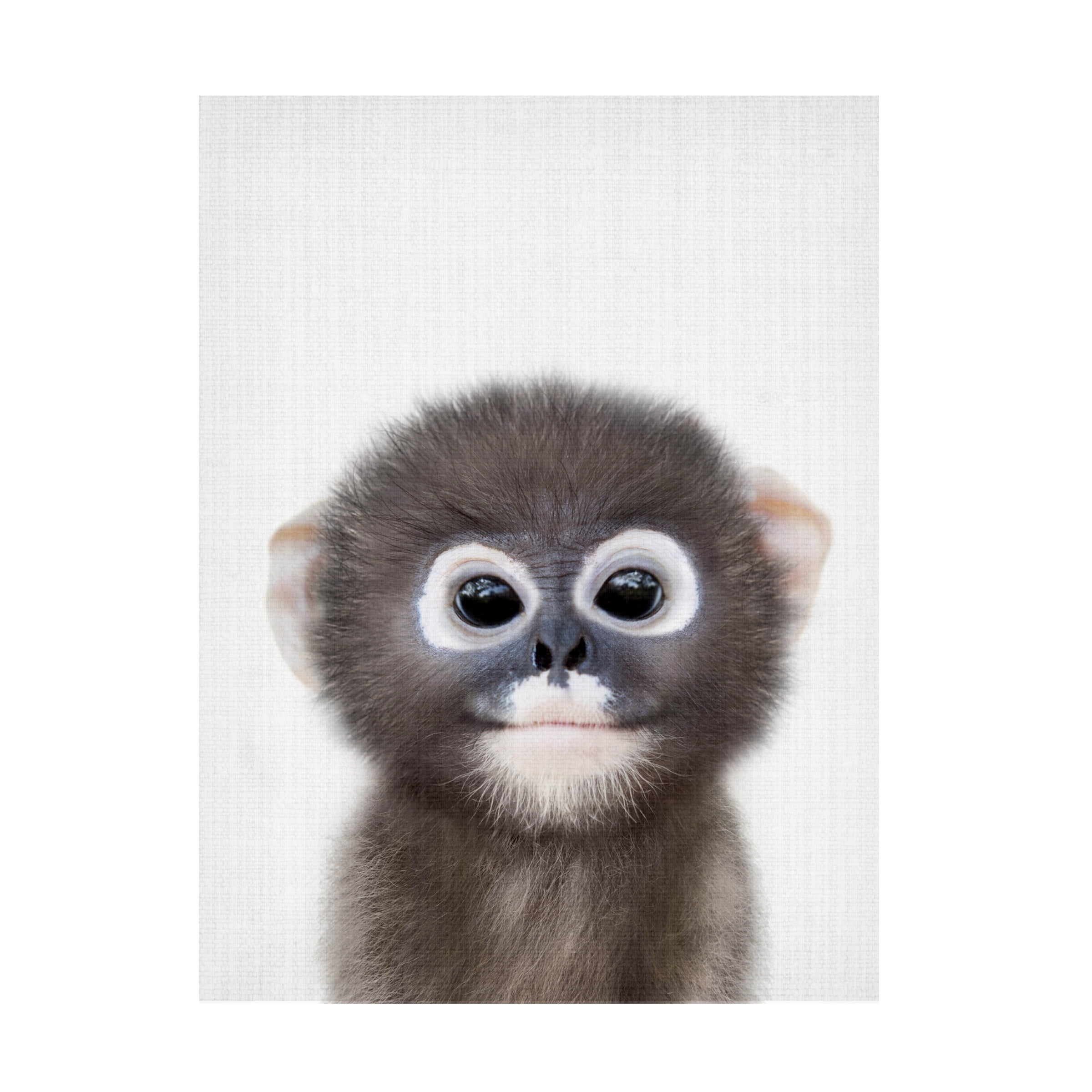 Lola Peacock 'Peekaboo Baby Monkey' Canvas Art