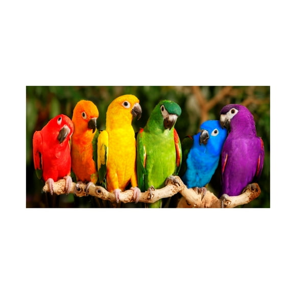 Trademark Fine Art Mike Jones Photo Rainbow Parrots Canvas Wall Art - 10x19