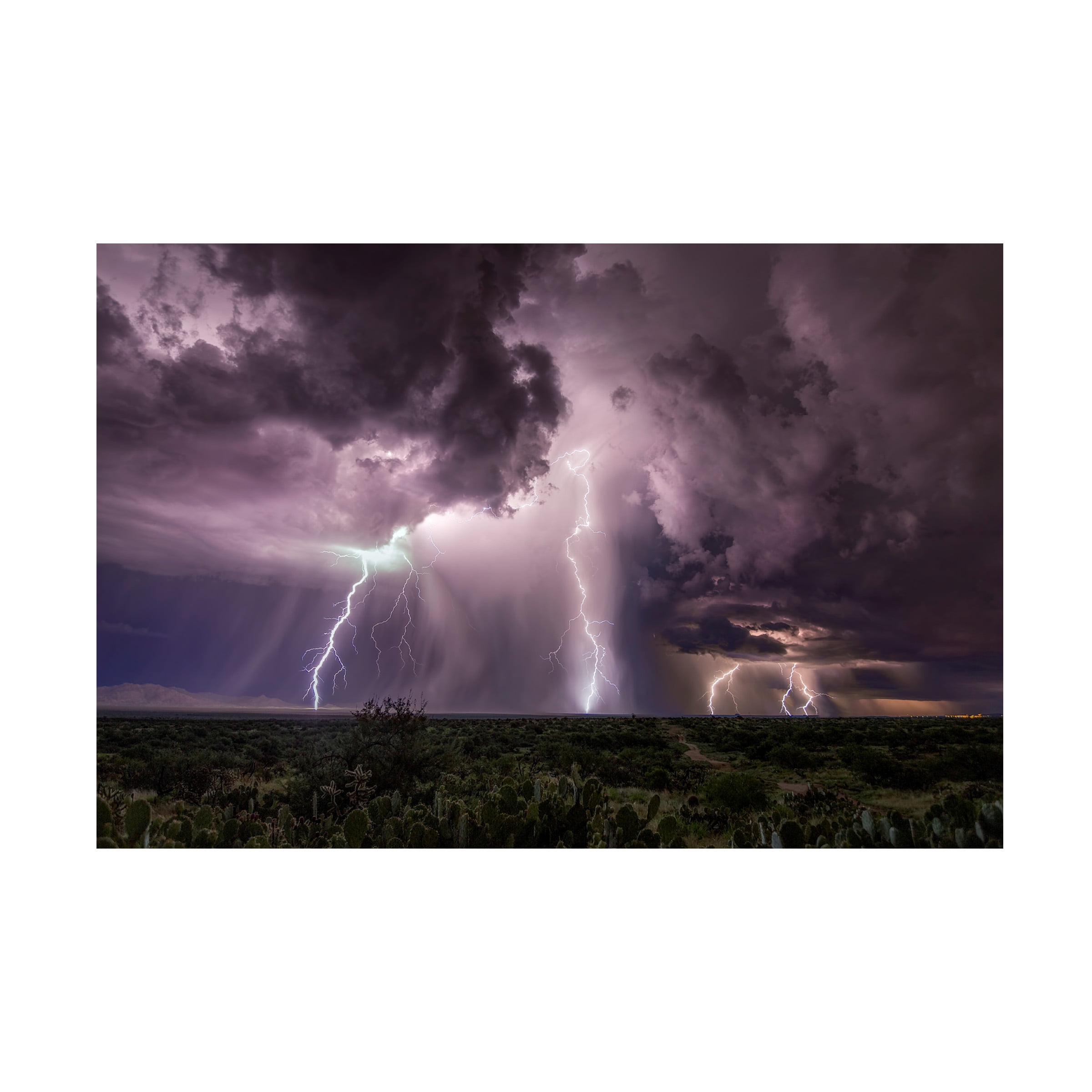 Danilo Cesar Faria 'Collision Course' Canvas Art