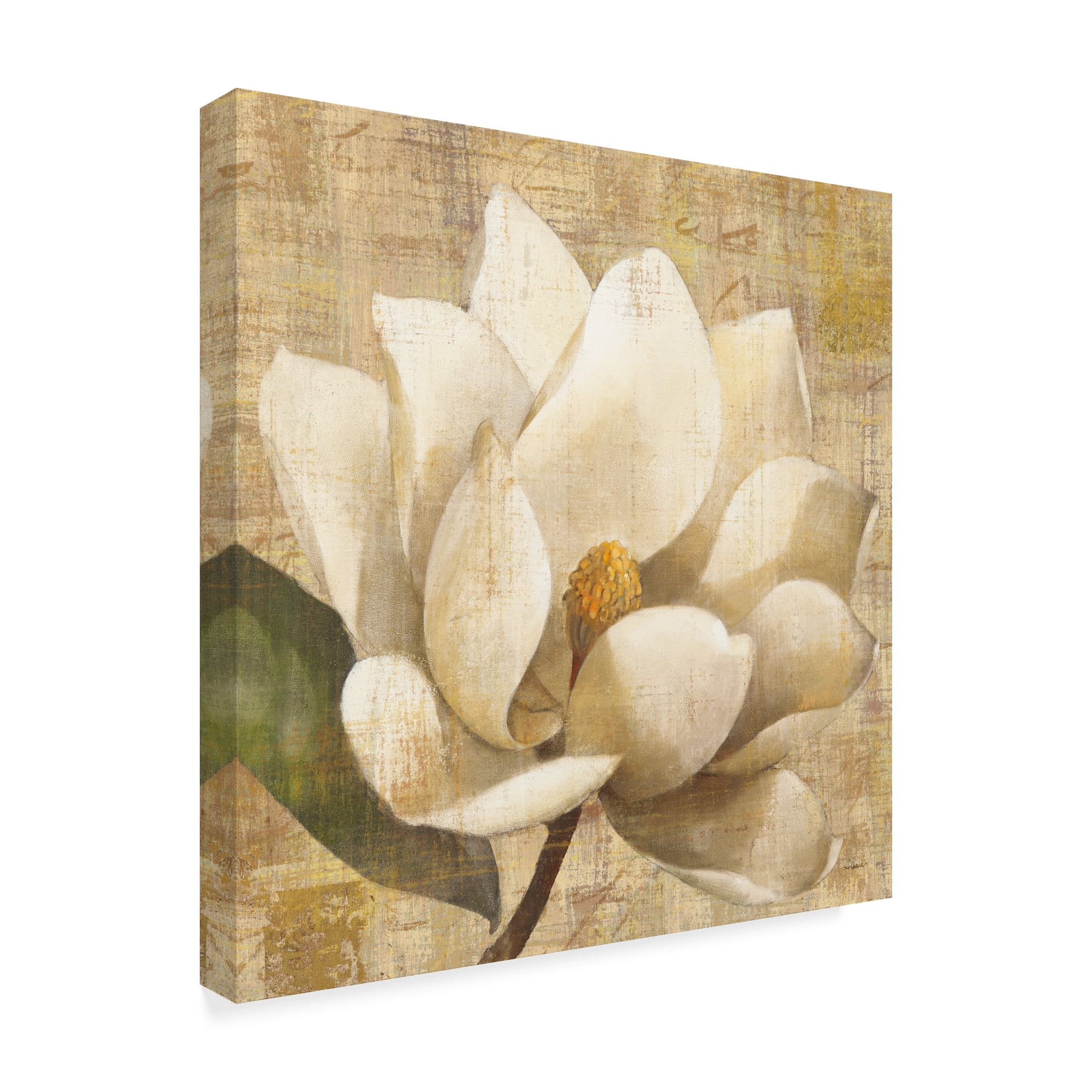 14" x 14" Multicolor Floral Canvas Art with Magnolia Blossom