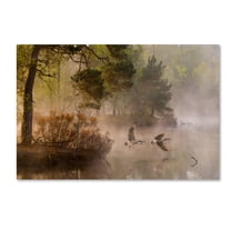 Anton Van Dongen 'Goose Fight' Canvas Art