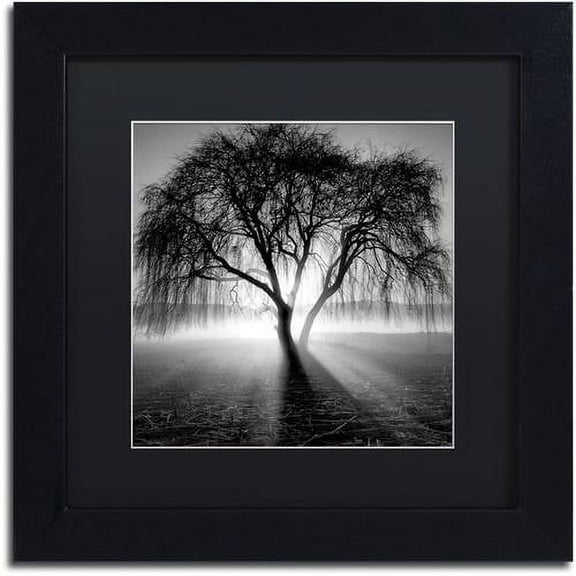 Moises Levy Lightning Tree I Matted Framed Wall Art