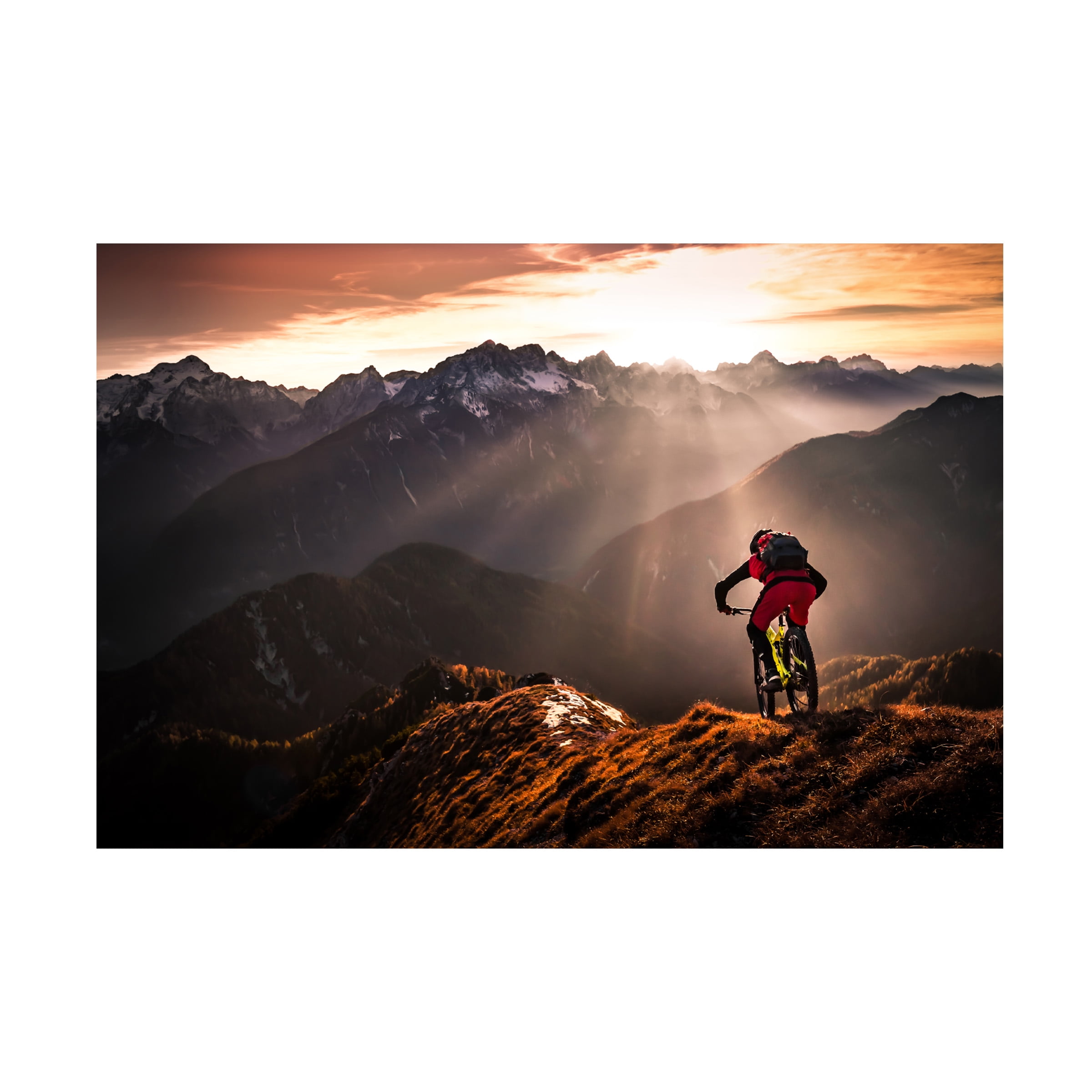 Sandi Bertoncelj 'Just Ride' Canvas Art
