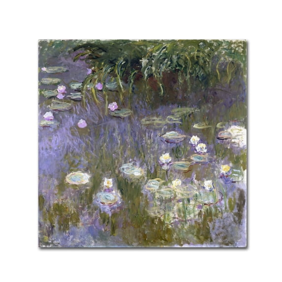 Monet 'Water Lilies' Canvas Art