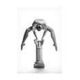 thumbnail image 1 of Maarten Scholtheis 'Balance Or Power' Canvas Art, 1 of 4