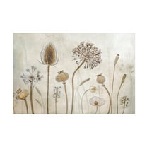 Trademark Fine Art Mandy Disher Growing Old Canvas Wall Art - 12x19