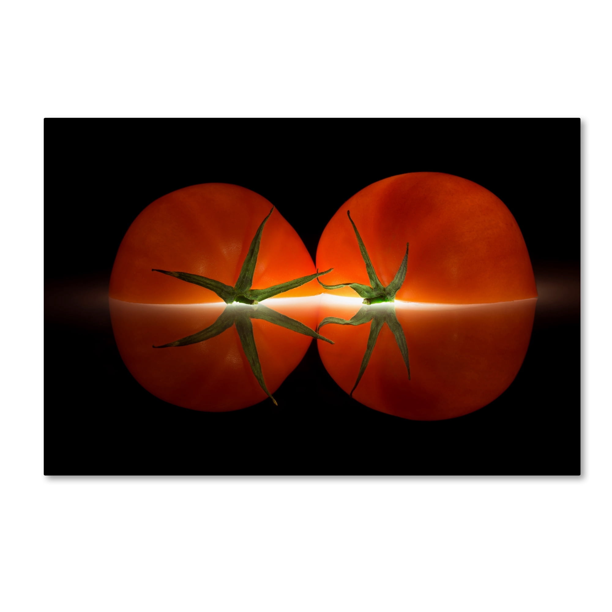 Wieteke De Kogel 'Tomatoes' Canvas Art
