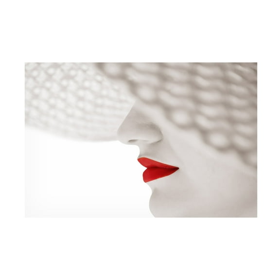 Seyhan Terzioglu 'Red' Canvas Art