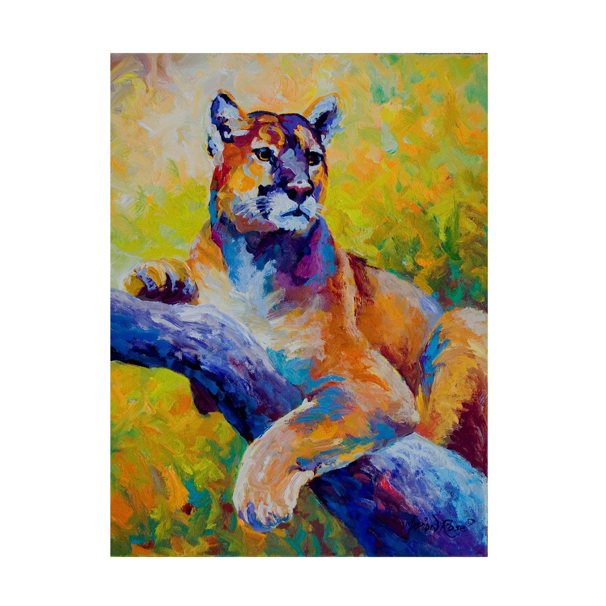 Marion Rose 'Cub' Canvas Art