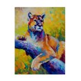 thumbnail image 1 of Marion Rose 'Cub' Canvas Art, 1 of 4