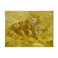 thumbnail image 1 of Van Gogh 'Quinces Lemons Pears And Grapes' Canvas Art, 1 of 4