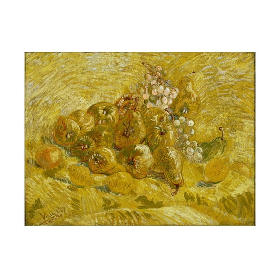 Van Gogh 'Quinces Lemons Pears And Grapes' Canvas Art