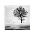 thumbnail image 1 of Dansiga 'Roes' Canvas Art, 1 of 3