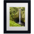 thumbnail image 1 of Chris Moyer 'Akaka Falls' Matted Framed Art, 1 of 4