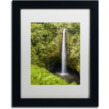 Chris Moyer 'Akaka Falls' Matted Framed Art