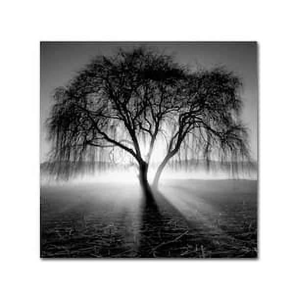 Trademark Fine Art Andy Westface Promise Canvas Wall Art - 14x14