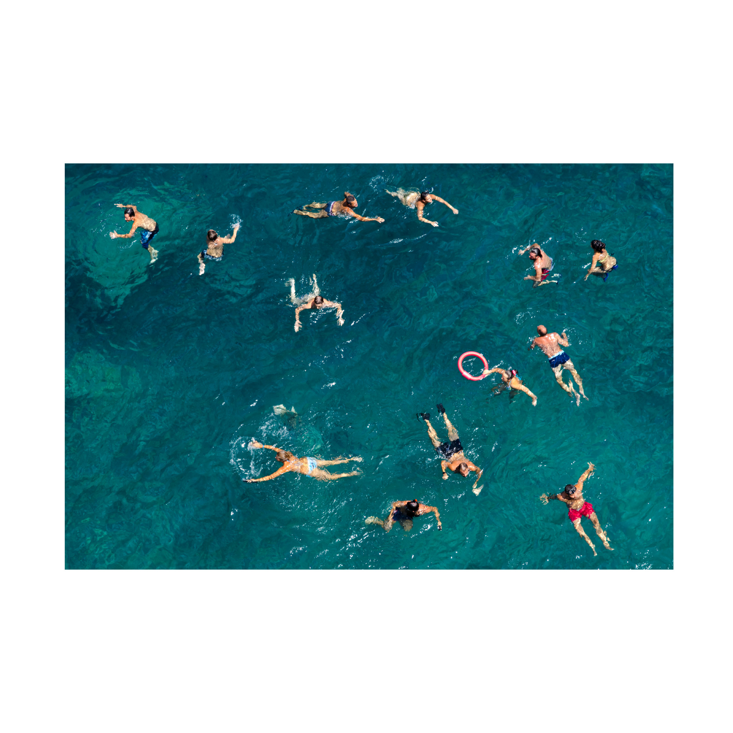 Carlo Tonti 'Swim' Canvas Art